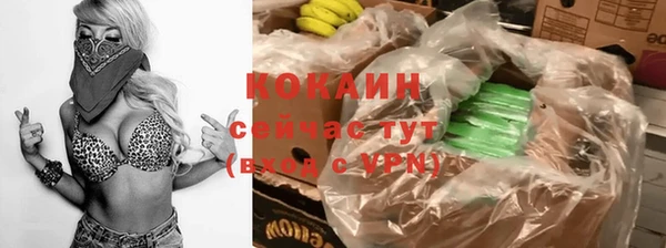 твердый Магас