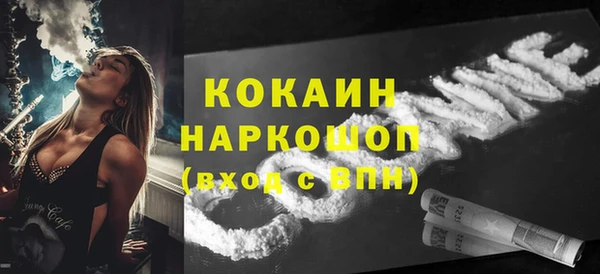 твердый Магас