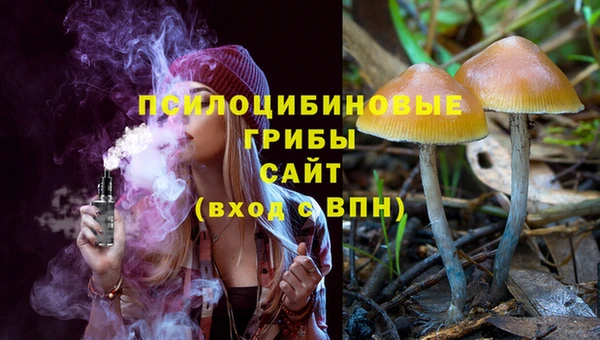 дживик Майский