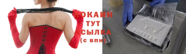 дживик Майский