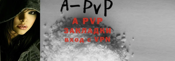 твердый Магас