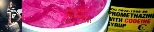 дживик Майский
