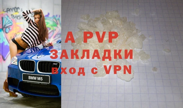 твердый Магас