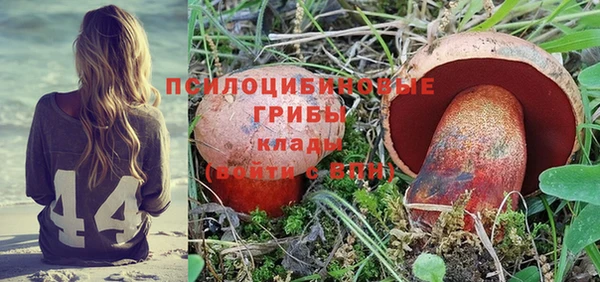 твердый Магас