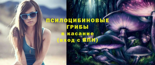 дживик Майский