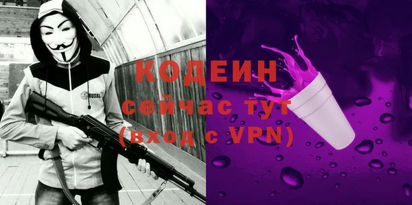 твердый Магас