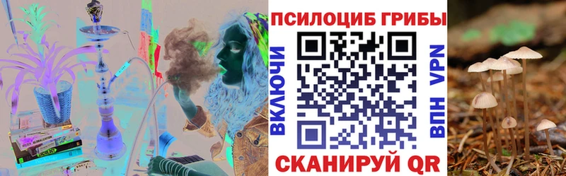 как найти закладки Дыгулыбгей Галлюциногенные грибы мицелий